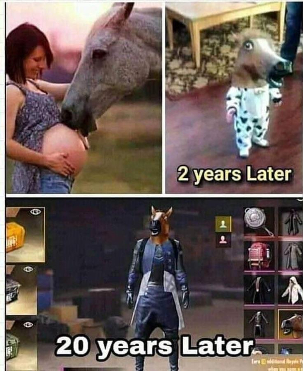 Interesting times neigh
