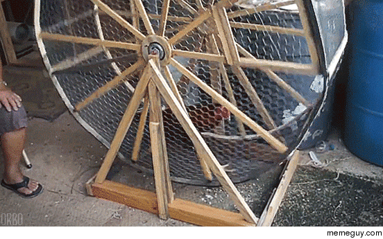 Interesting way to keep your cock in shape