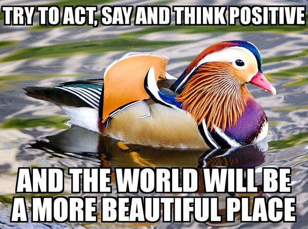 Introducing Absolutely Bootiful Duck