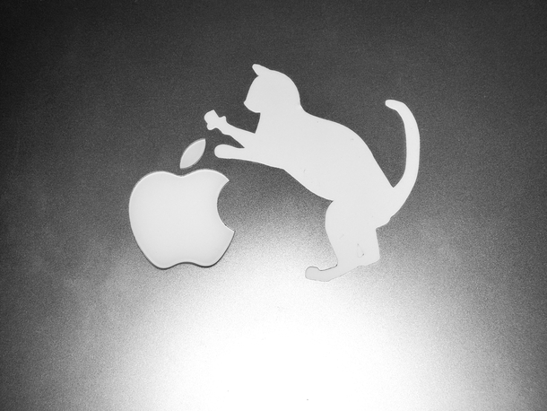 Introducing Bapples New Catbook Pro