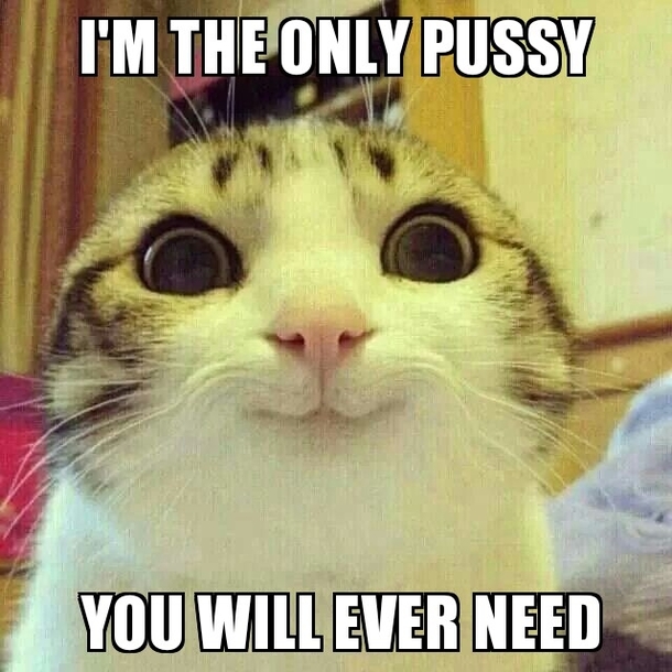 Introducing Overly Attached Cat