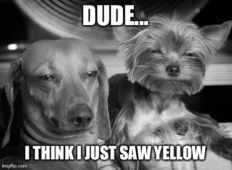 Introducing Pothead Puppies