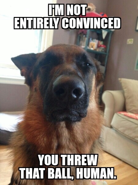Introducing Skeptical Shepherd
