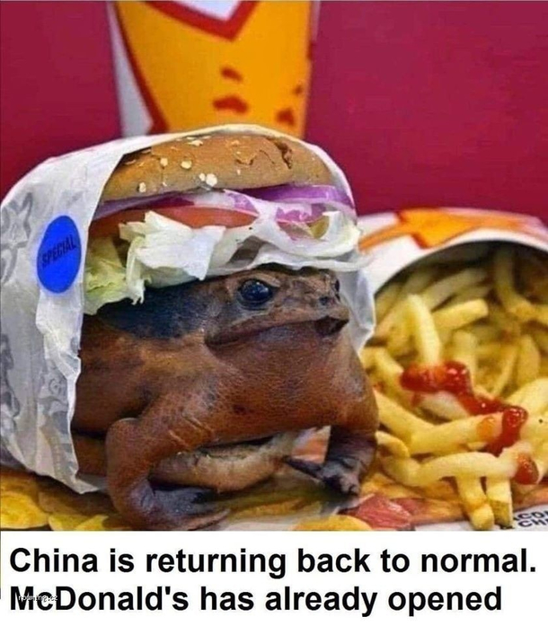 Introducing the McRibbit