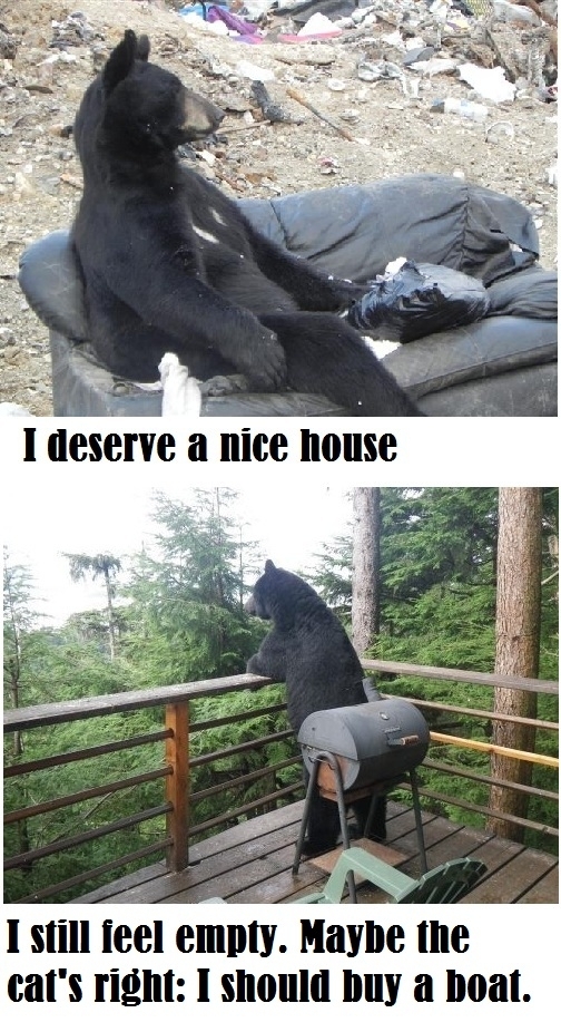 Introspective bears