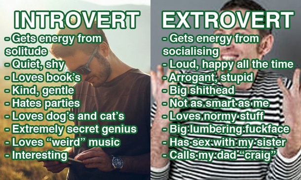 Introverts vs Extroverts