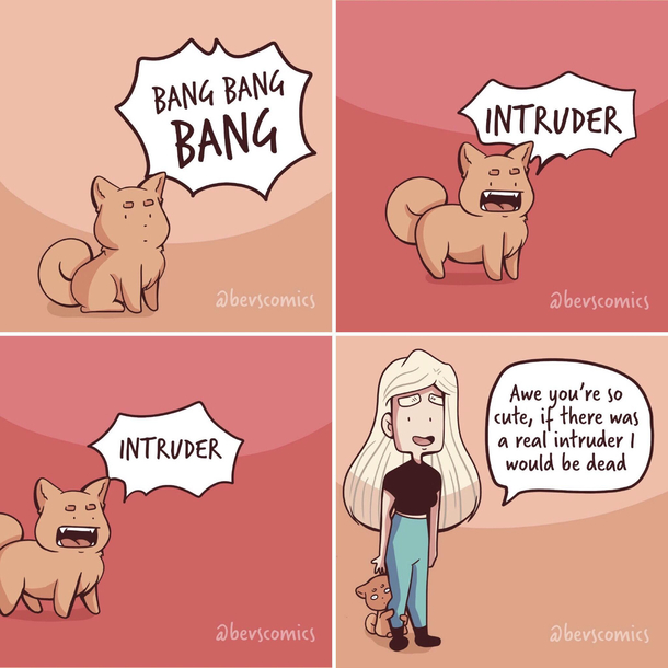 INTRUDER 
