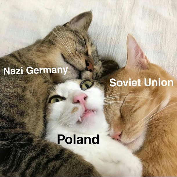 Invasion of Poland in nutshell