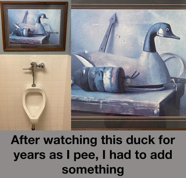 Invasive duck