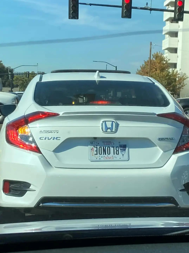 Ironic or Not You decide