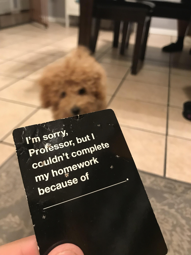 Ironic that my pup chewed up this specific cards against humanity card
