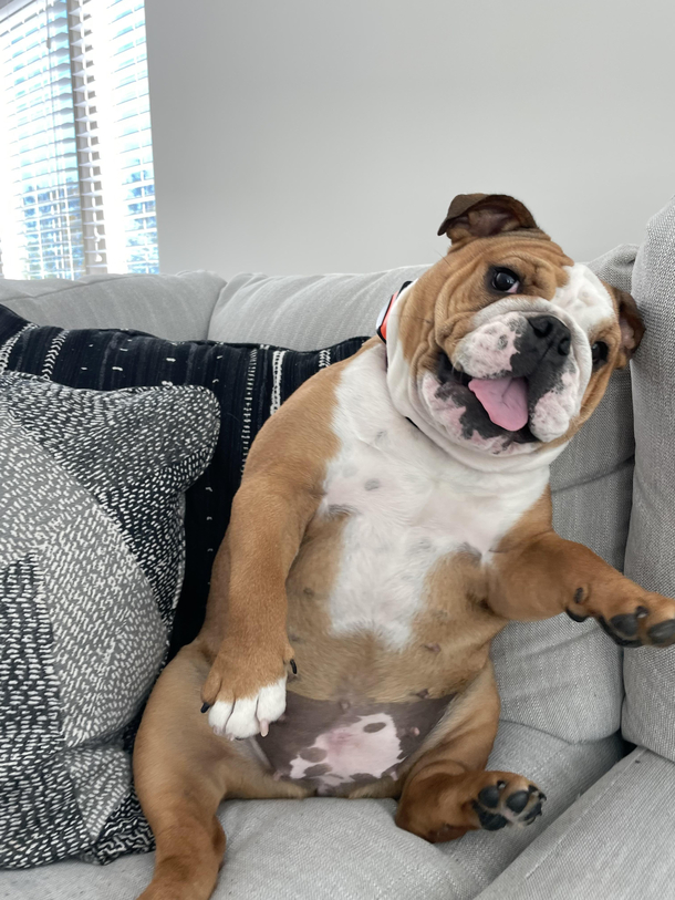Is it Friday yet