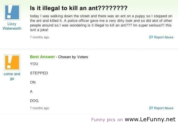 Is It Illegal To Kill An Ant