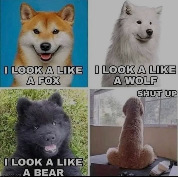 Is that a real bear though