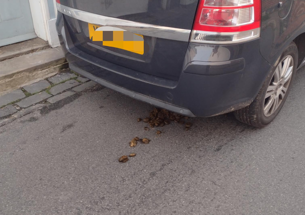 Is that why its called horsepower