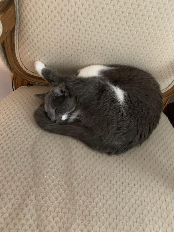 Is thatcomfortable