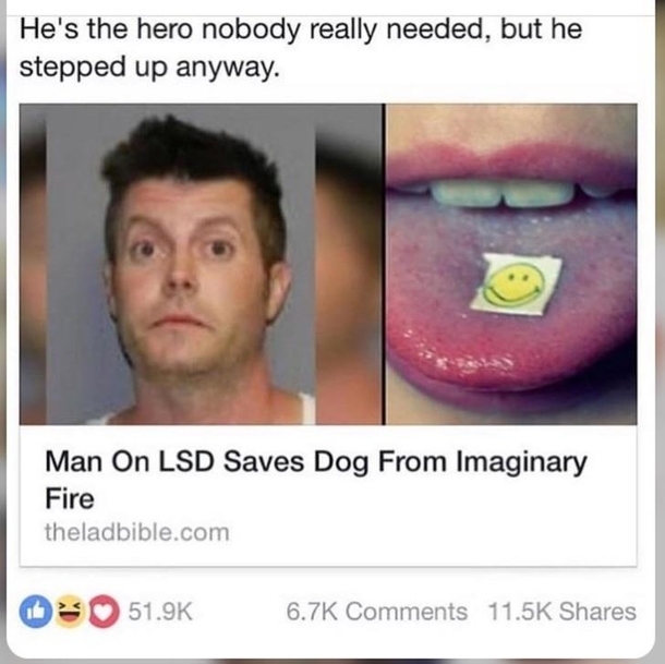 Is the dog okay thought