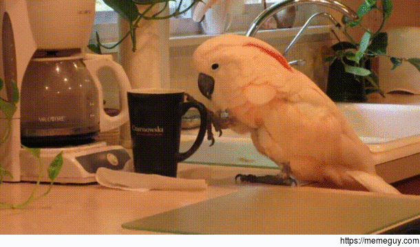 Is there coffee available
