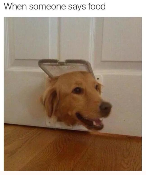 Is There Something For Eat