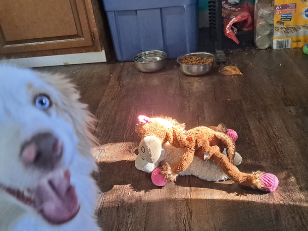 is this where new toys come from