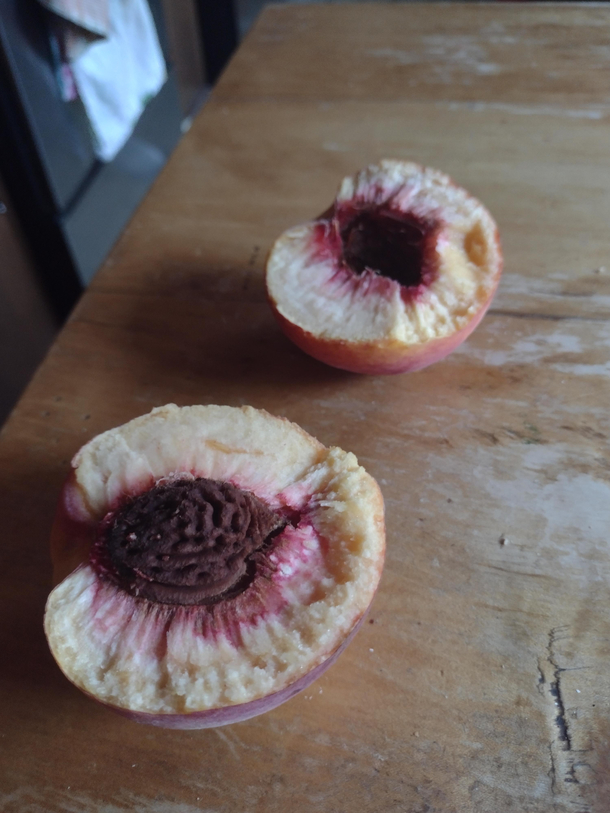 isnt it just the biggest letdown when you split into a peach and you get this kinda hard to see through a photo but yeah suuuper dry