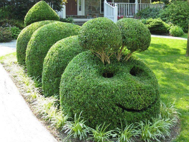 Isnt it nice