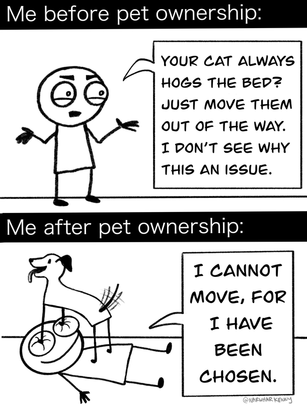 It all makes sense now