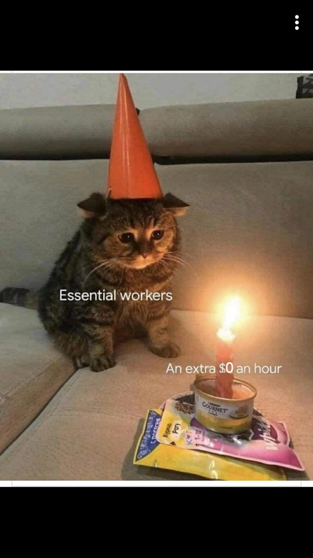 It do be looking kinda sad brosef