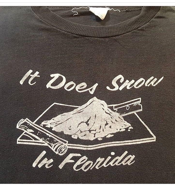 It does snow in Florida Vintage t-shirt I saw for sale online