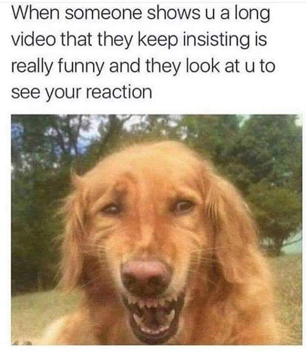 It gets funnier in a minute 