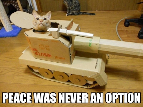 It has never been an option