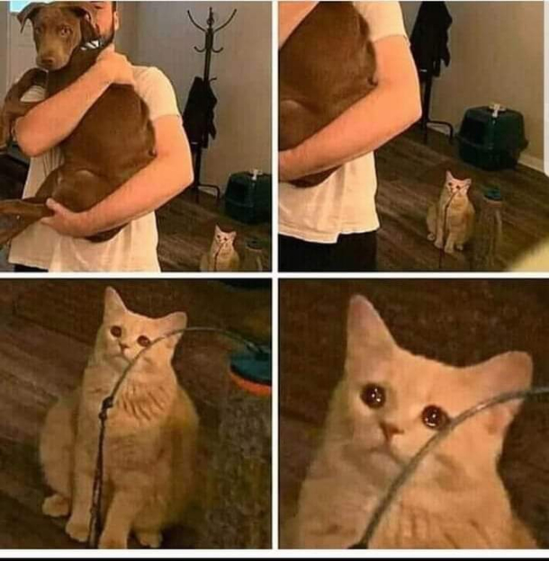 It hurts in my meow meow 