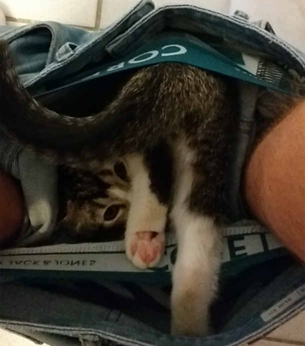 It is a cozy place in my pants