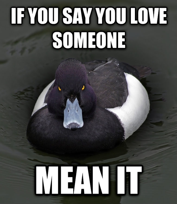 It is a shame I have to say this