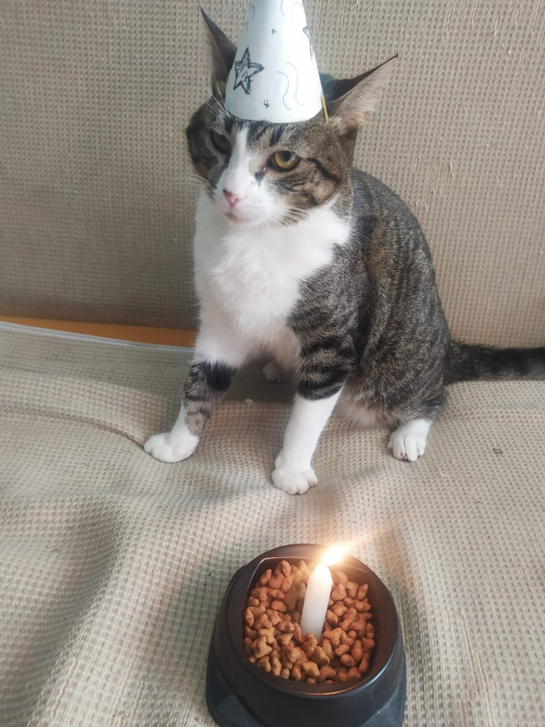 It is his birthday We thought it was a good idea This take the damn picture already face says otherwise