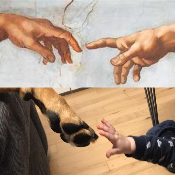 It is no coincidence that dog spelled backwards is god