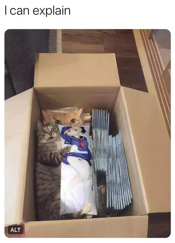 It is not what it looks like