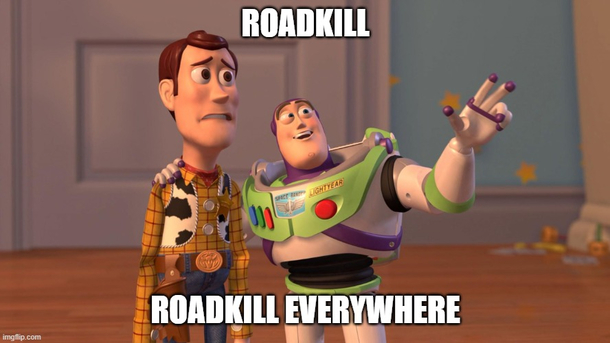 It is once again springtime on the roads of the USA