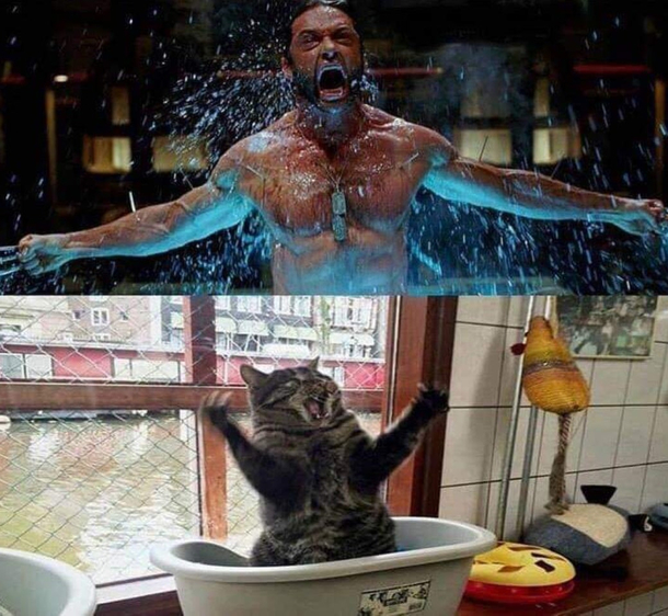 It is the same person