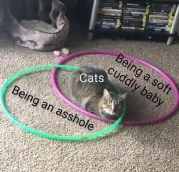 It is what it is