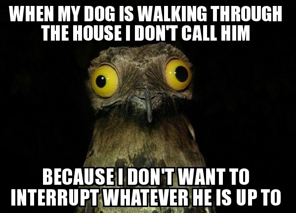 It just seems polite
