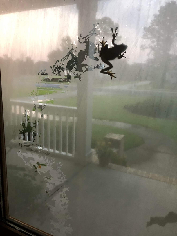 It looks a bit froggy outside