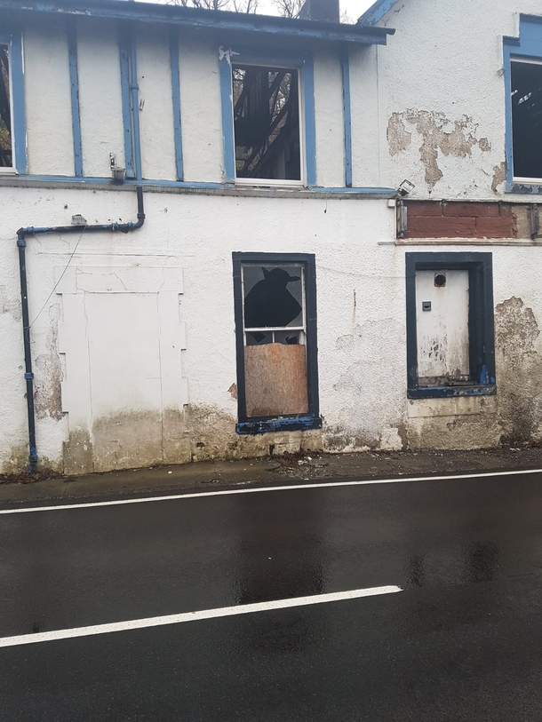 It Looks like someone threw Yoda through the window