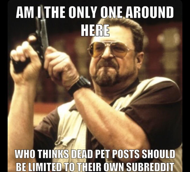 It seems like karma whoring your pet