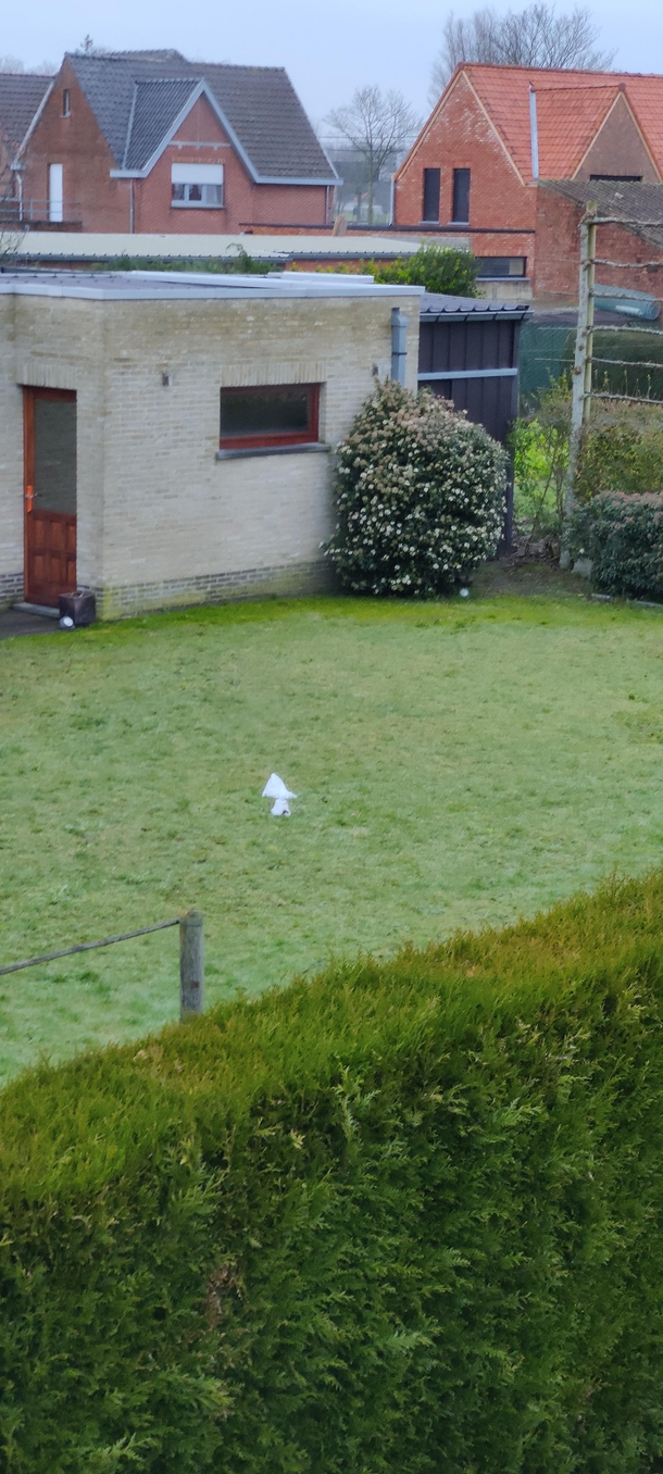 It snowed a little bit in Belgium however it melted overnight except for my neighbors pice de rsistance