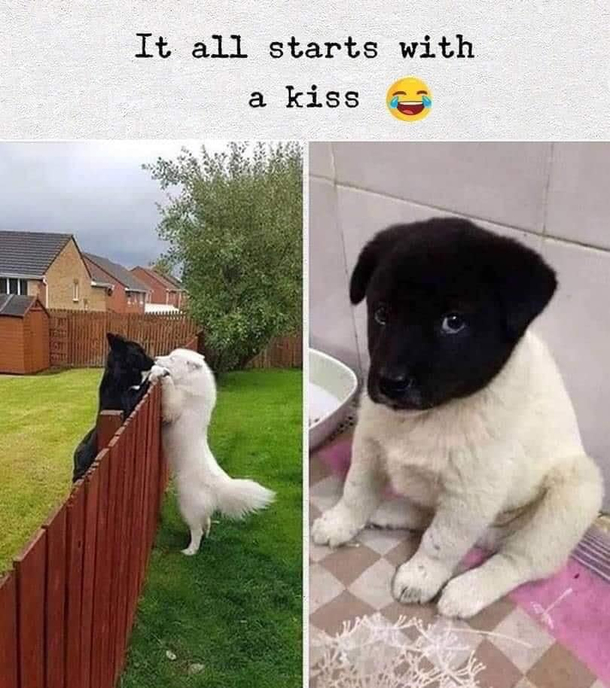It started with a kisssssss I never thought it would come to this