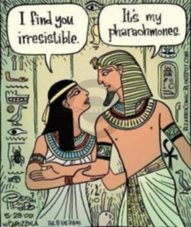 It sure is