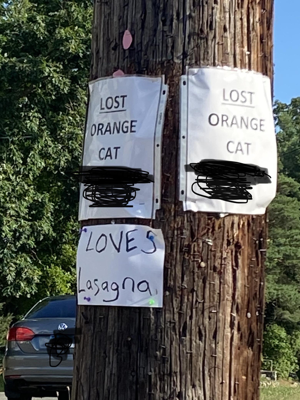 It took me way to long to realize the reference
