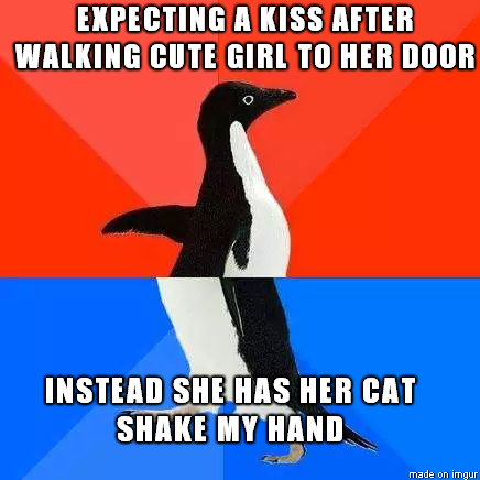 it was a cool cat but still not sure why that happened
