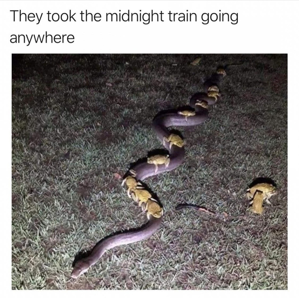 It was a crazy party we did all kind of drugs
